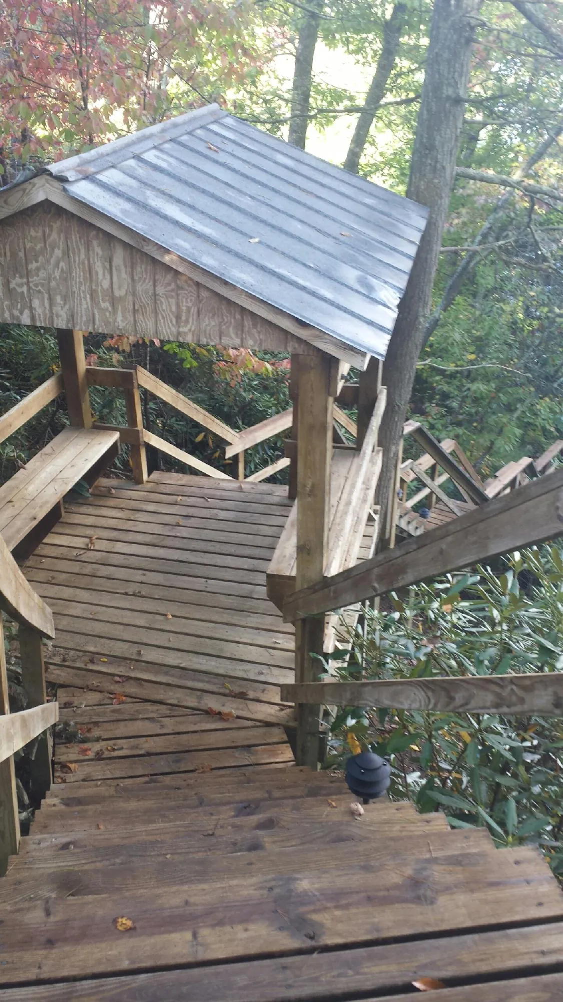Metal roofed shelter over wooden steps on a wooded walkway — Skylight Repair & Installation work by our crew in Ray City